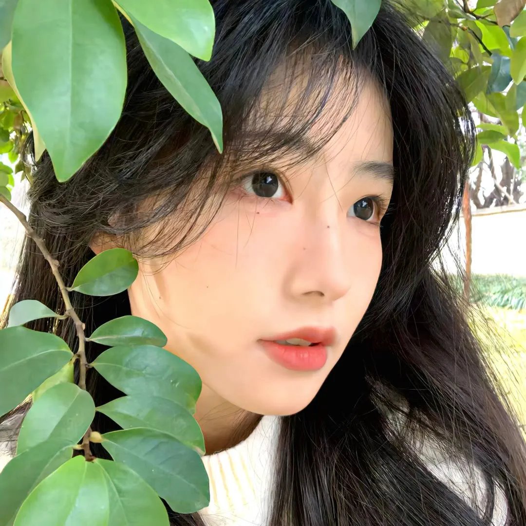 买牛